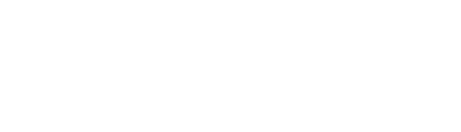 Logo SPL DD Weis